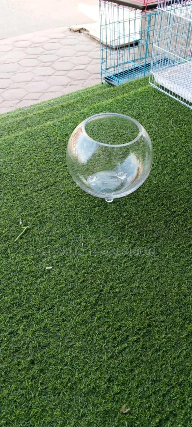 Glass Fish Bowl Medium · Photo 2