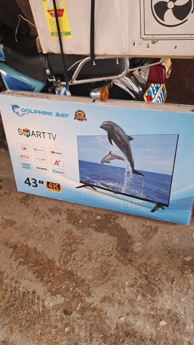 Dolphine Bay 43-Inch Smart Tv · Photo 4
