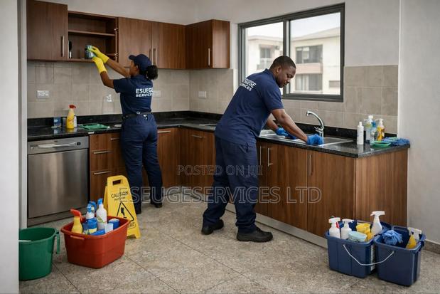 Move-Out and Move-in Cleaning · Photo 2
