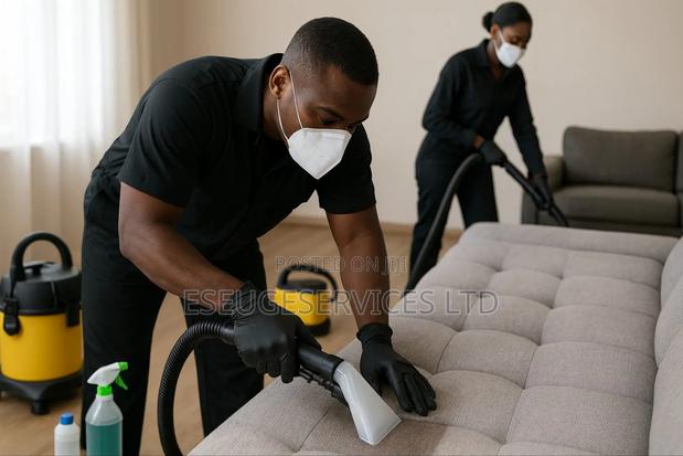 Sofa and Carpet Cleaning · Photo 2
