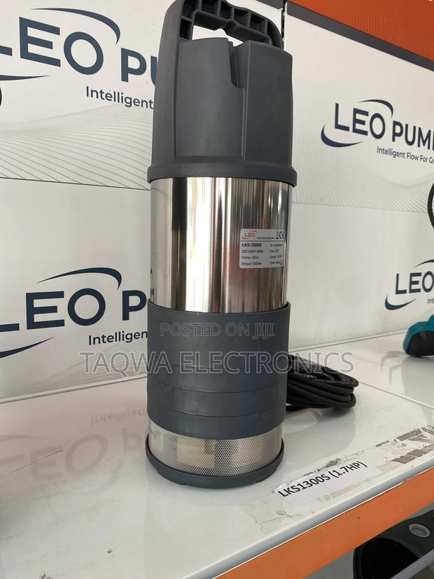 Supply Water With Leo Multistage 1.7hp Water Pump · Photo 2