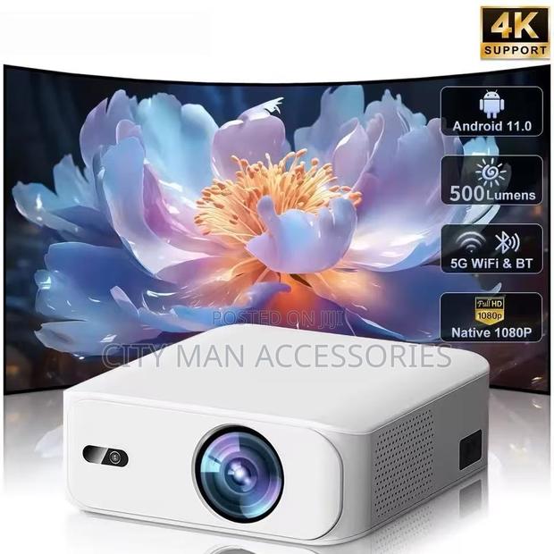 Display Projector · Photo 2