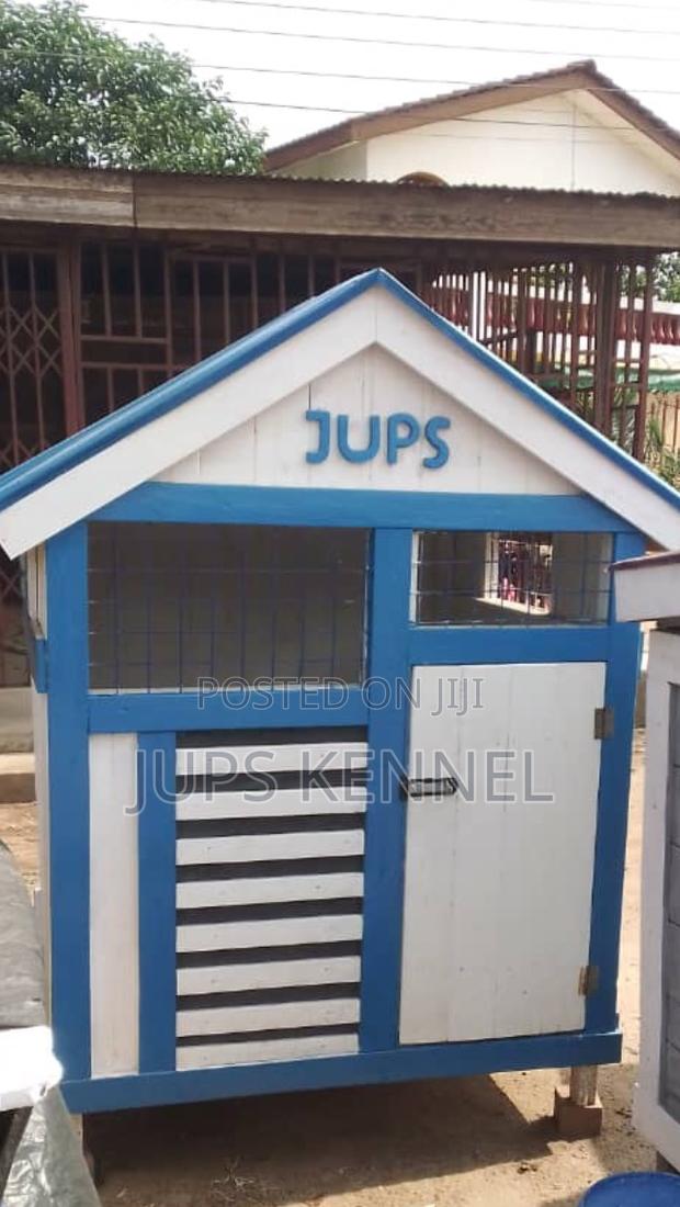 Dog House (Dog Kennels) · Photo 2