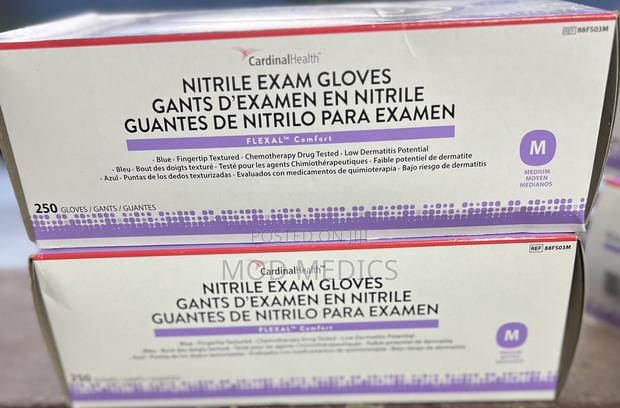 Ntrile Exam Gloves (250pcs) · Photo 3