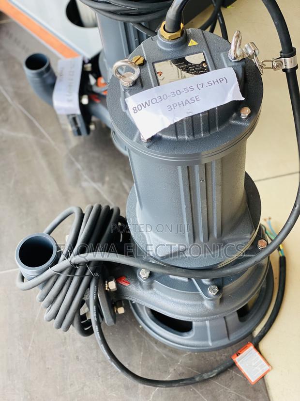 80wq20-30-5.5 Leo 7.5hp Sewage Pump · Photo 2
