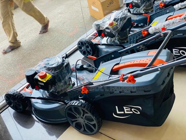 Pick Up the Leo 5.5hp Lawn Mower (Lm51z-2l)