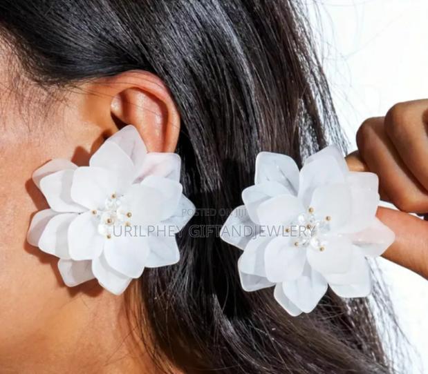 Fashionable Earrings photo 2