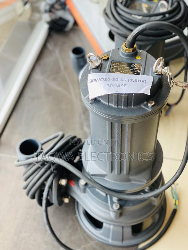 Sewage Water Pumps-7.5hp( 80wq30-30-5.5) Leo · Photo 2