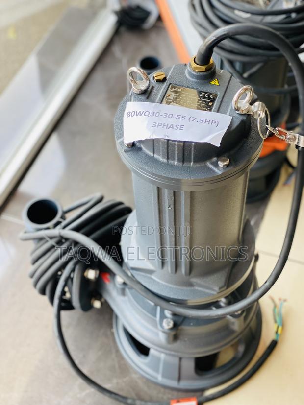 Leo European Standard 7.5hp Sewage Pump · Photo 2