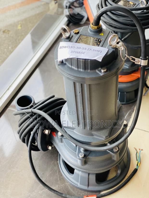 Most Trusted Sewage Pump,Leo 7.5hp Water Pump · Photo 2