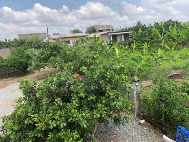 Land for Sale in Amasaman Medie · Photo 1