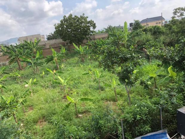 Land for Sale in Amasaman Medie · Photo 2