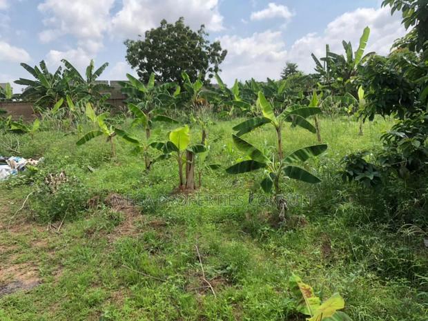 Land for Sale in Amasaman Medie · Photo 3