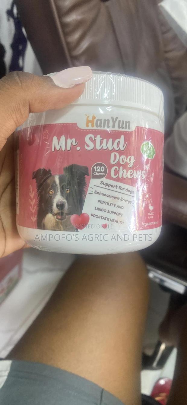 Mr.Stud Dogs Chew