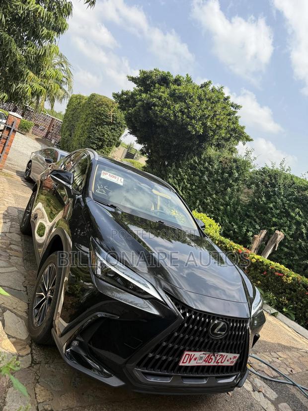 Lexus NX 2022 Black photo 4