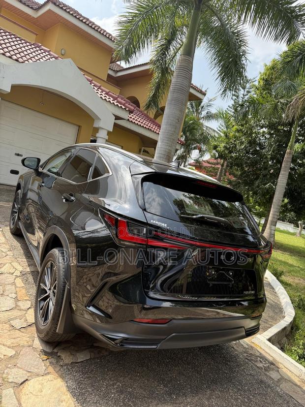 Lexus NX 2022 Black photo 7