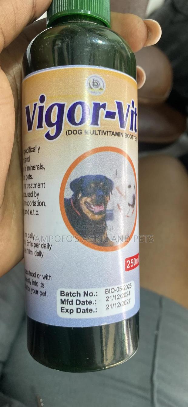 Vigor-Vit Multivitamin Booster