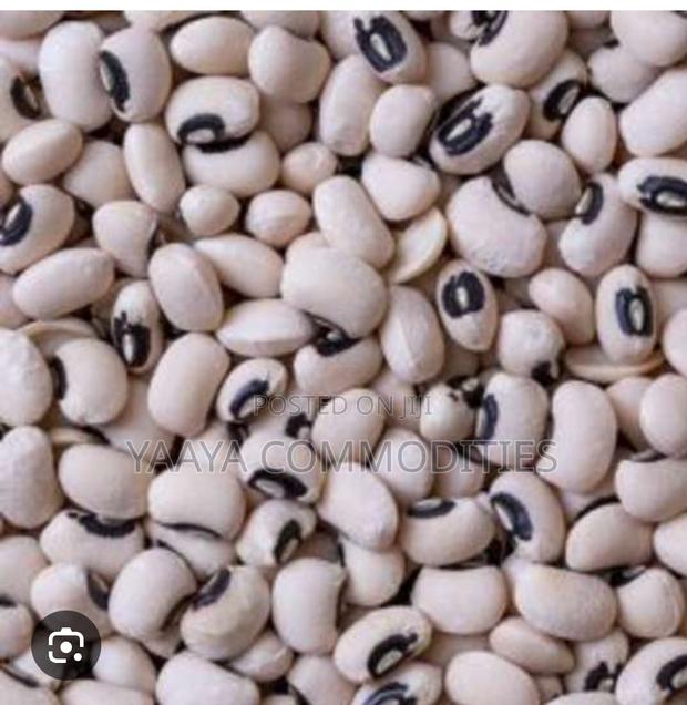 Bean - Organic · Photo 2