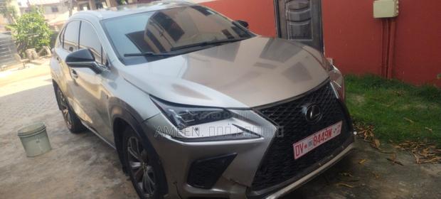 Lexus NX 300 AWD 2019 Gray