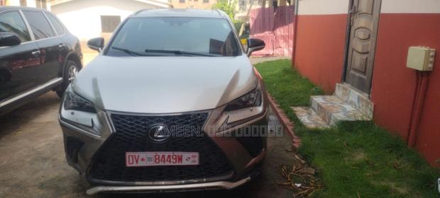 Lexus NX 300 AWD 2019 Gray