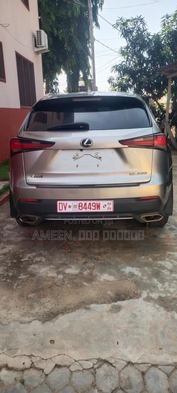 Lexus NX 300 AWD 2019 Gray