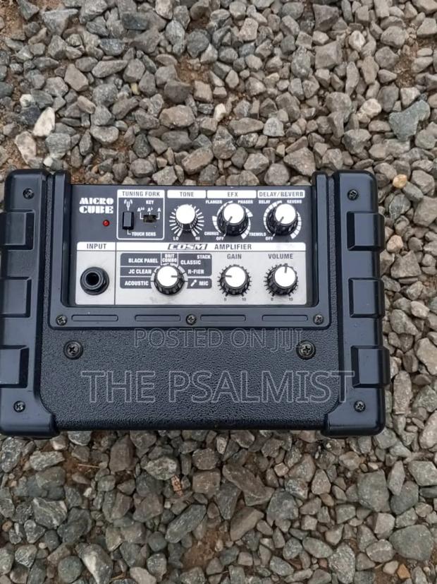 Roland Micro Cube Combo Customized photo 3