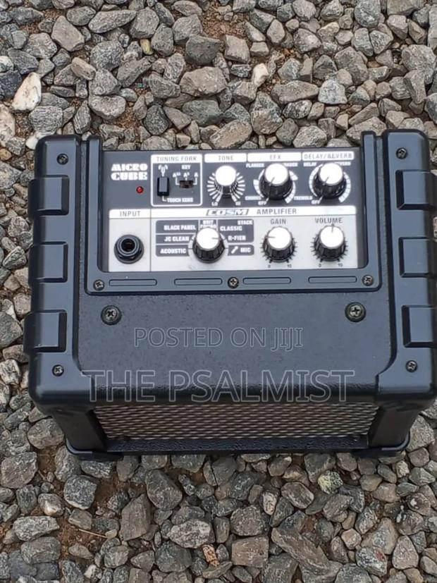 Roland Micro Cube Combo Customized photo 5