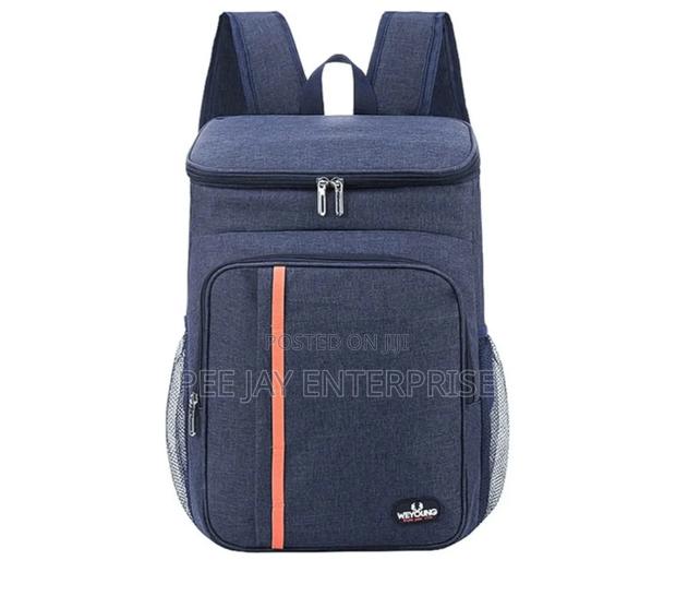 Insulated Lunch Cooler Backpack Bag photo 2