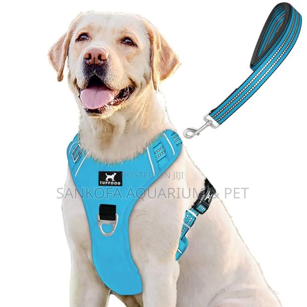 Dog Harness · Photo 3