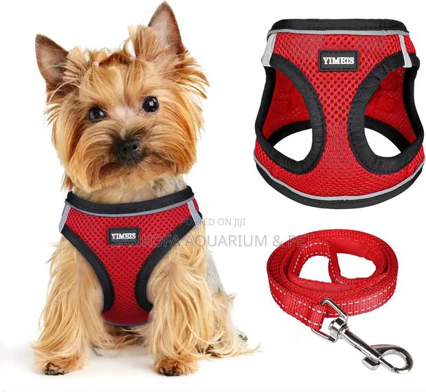 Dog Harness · Photo 4