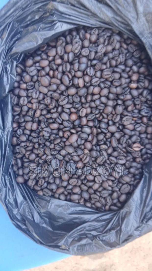 Roasted Coffee Beans for Sale