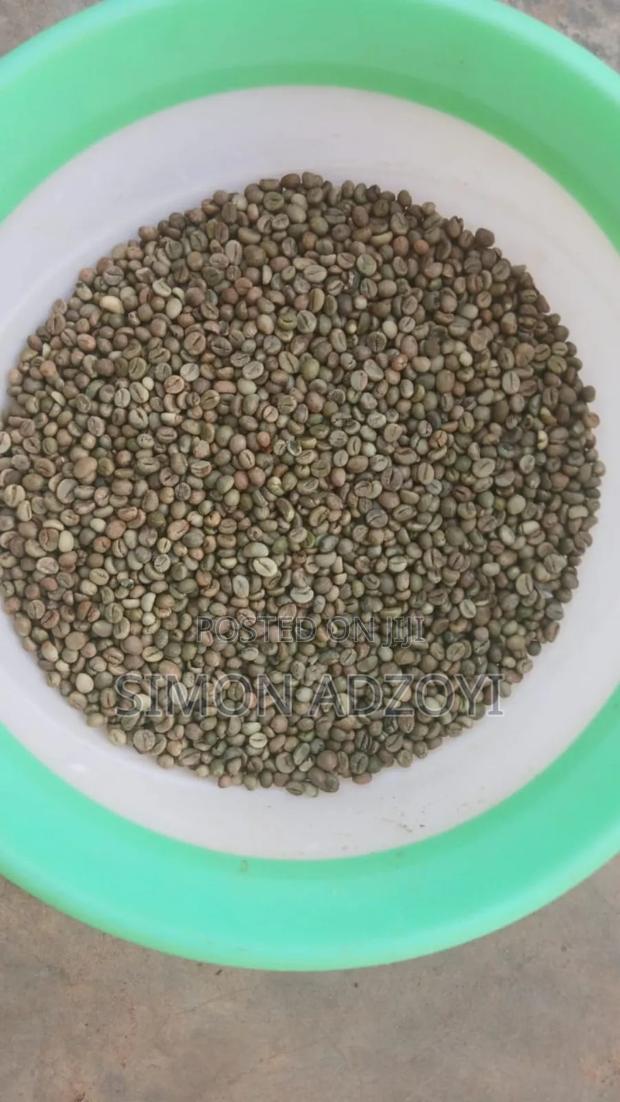 Roasted Coffee Beans for Sale