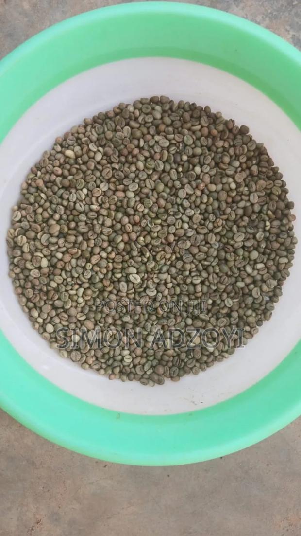 Roasted Coffee Beans for Sale