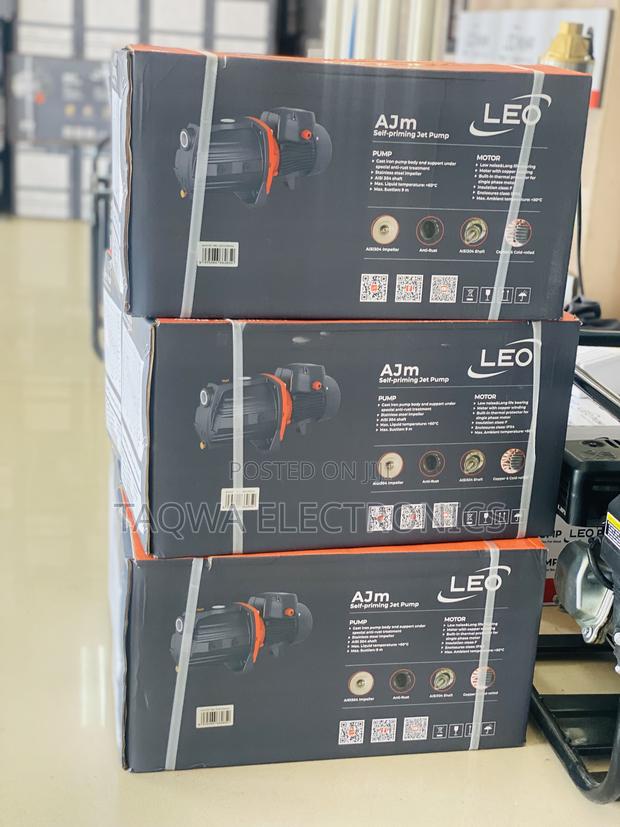 Electric Ajm75-Leo 1hp Cast Pump · Photo 2