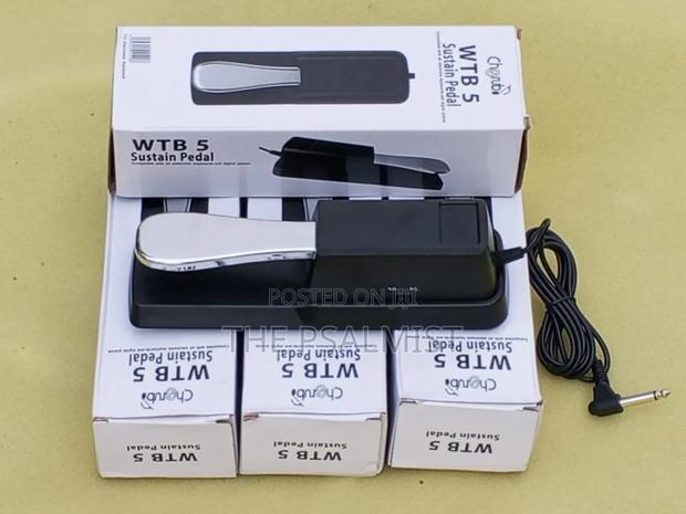Cherub Wt-005 Sustain Pedal Multi Use photo 2