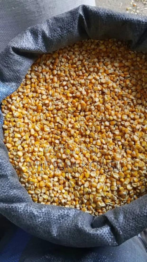 Yellow Maize Bags