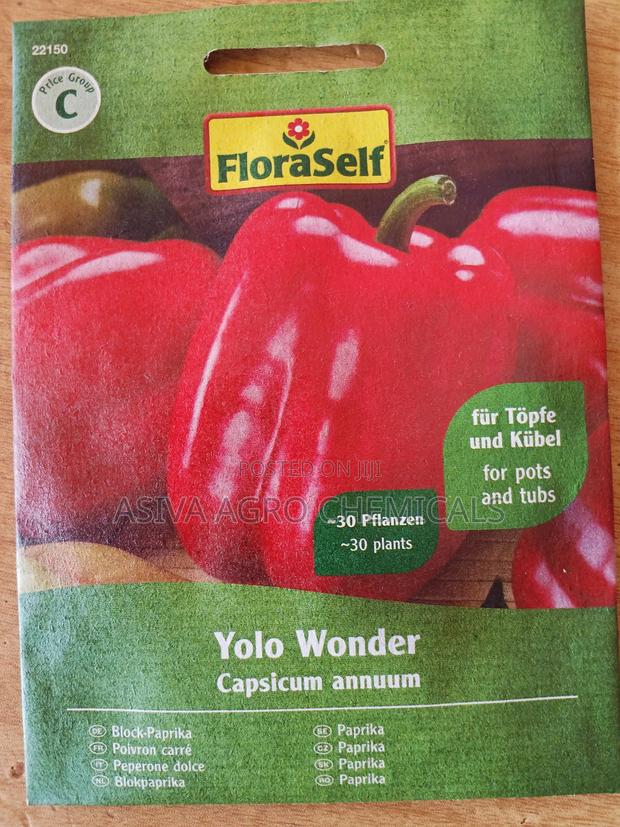 Red Bell Pepper Seeds