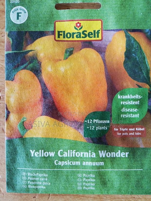 Yellow Bell Pepper Seeds
