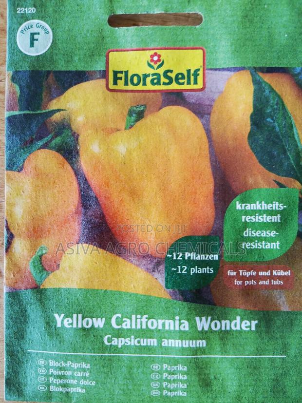 Yellow Bell Pepper Seeds photo 2