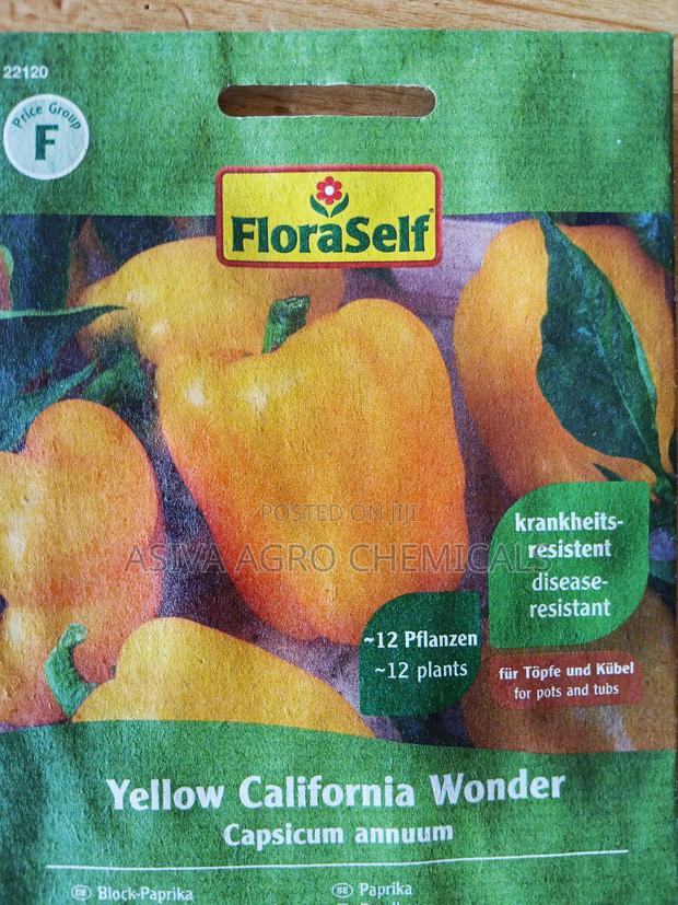 Yellow Bell Pepper Seeds photo 3