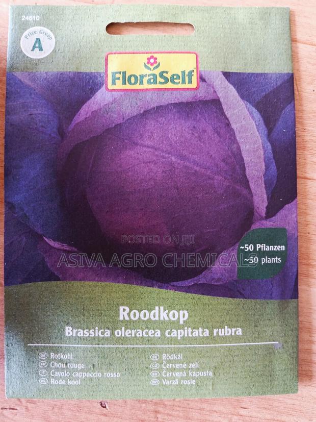Red/Purple Cabbage Seeds