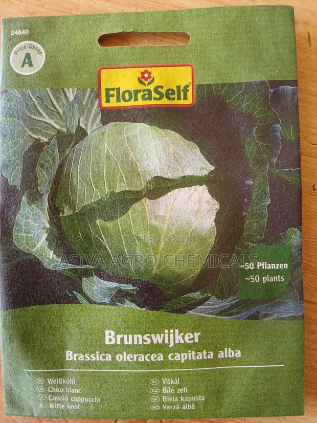 Cabbage Seeds