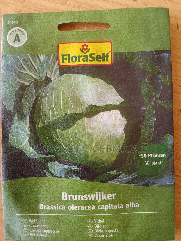 Cabbage Seeds photo 2