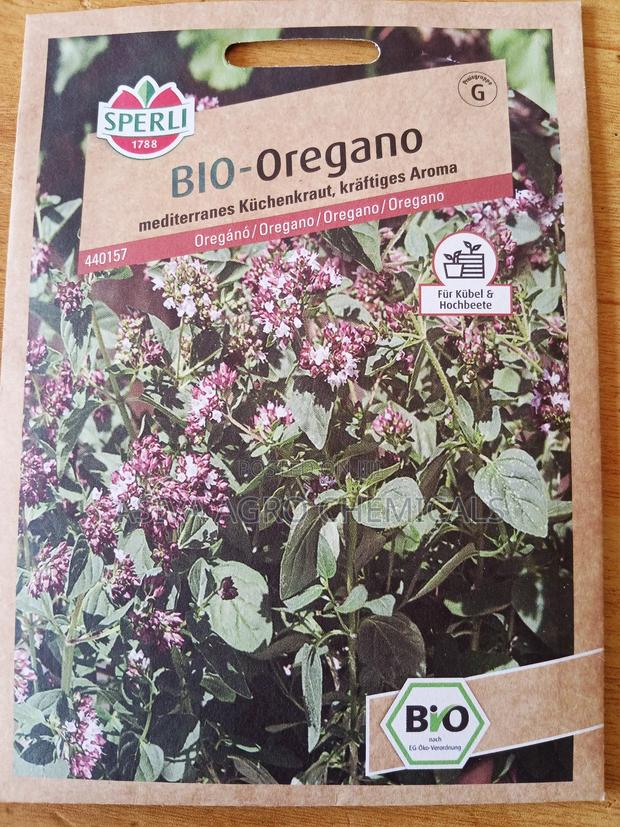 Oregano Seeds photo 2