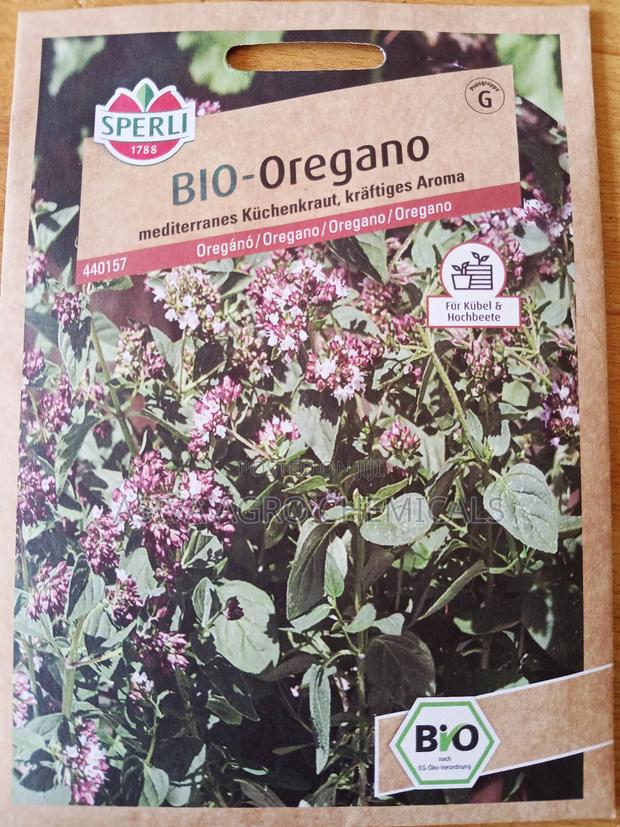 Oregano Seeds photo 4
