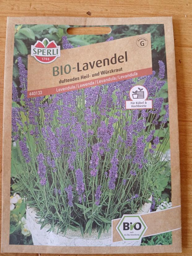 Lavender Seeds photo 2