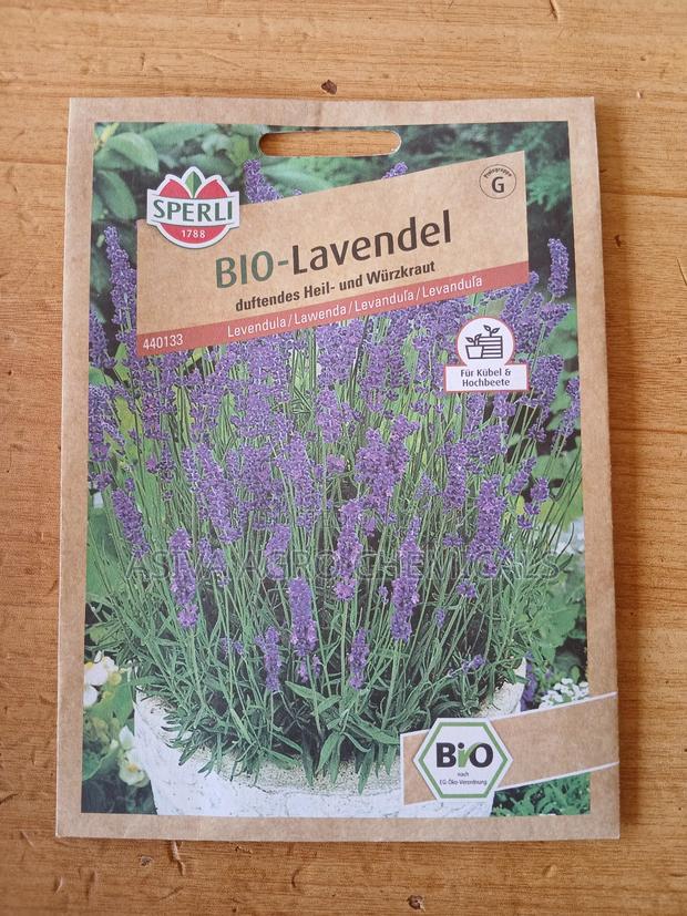 Lavender Seeds photo 3
