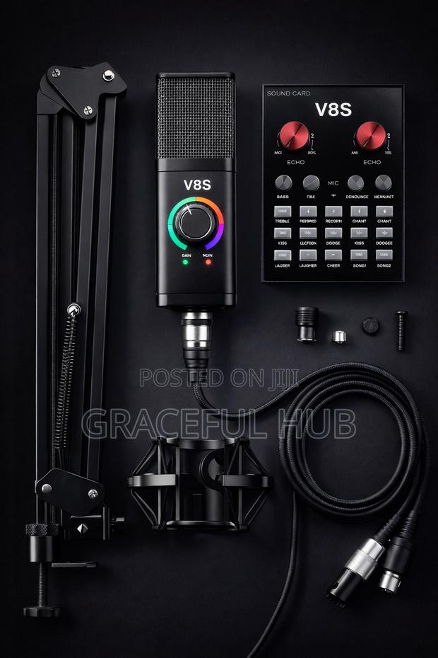 V8s Condenser Microphone