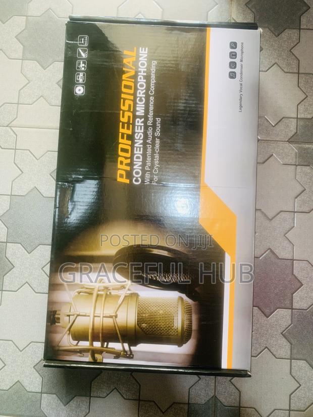 V8s Condenser Microphone photo 2