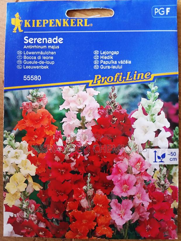 Snapdragon (Serenade) Flower Seeds photo 2